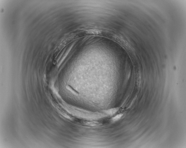 X0000087590229200705112311