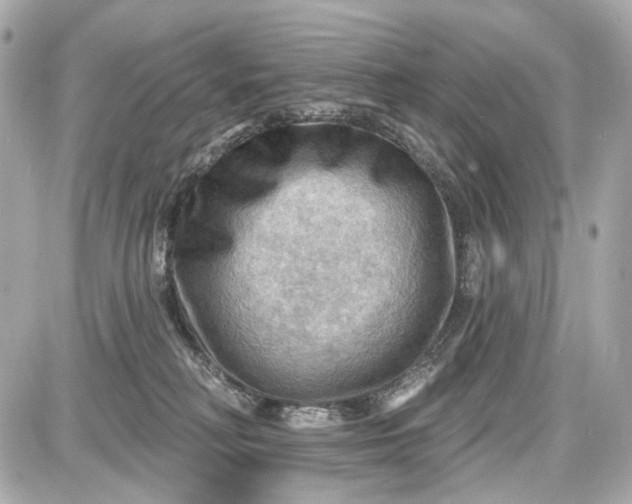 X0000087590230200705112311