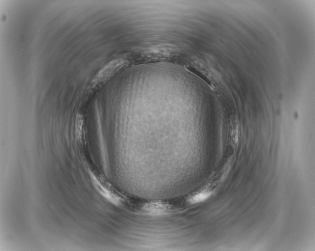 X0000087590231200705112311