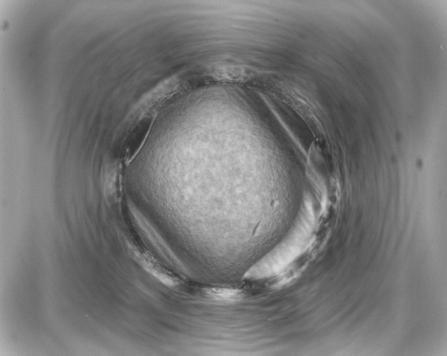 X0000087590233200705112311