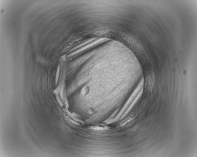 X0000087590234200705112311