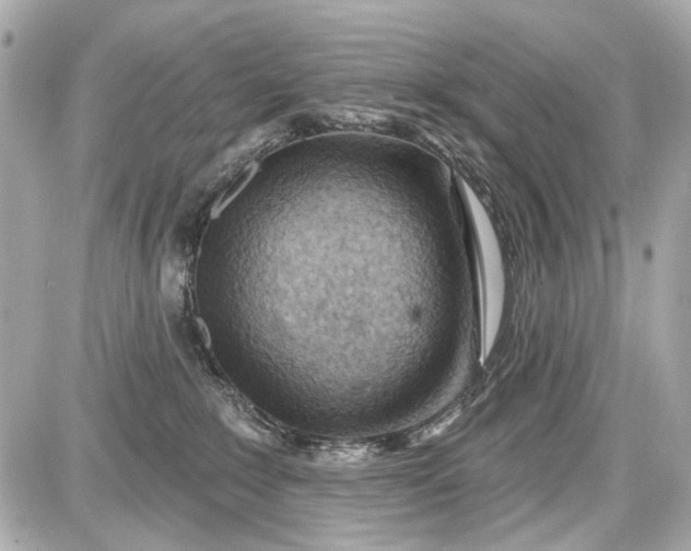 X0000087590235200705112311