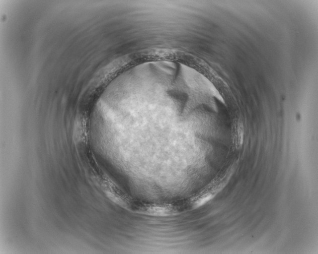 X0000087590236200705112311