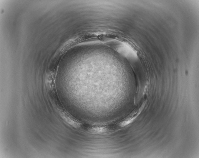 X0000087590237200705112311