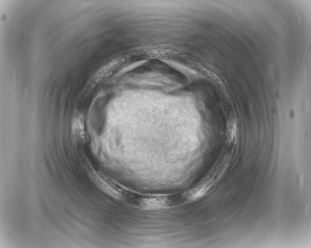 X0000087590238200705112311