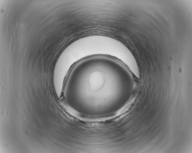 X0000087590239200705112311