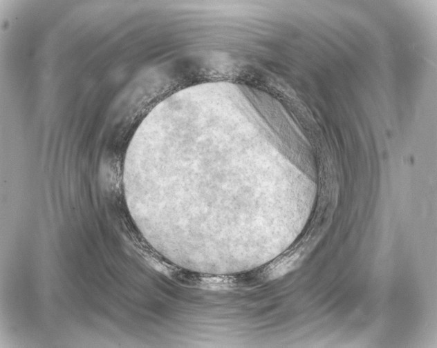 X0000087590240200705112311