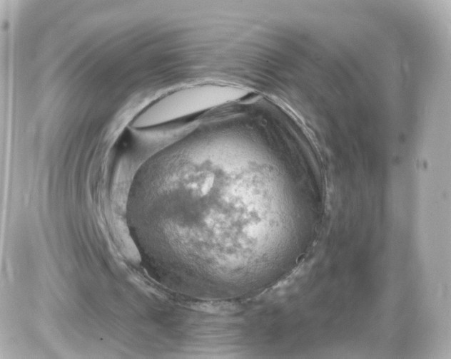 X0000087590241200705112310