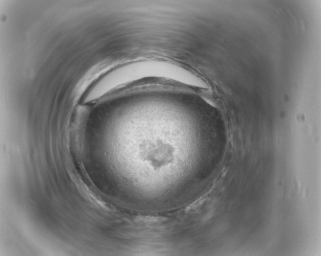 X0000087590242200705112310