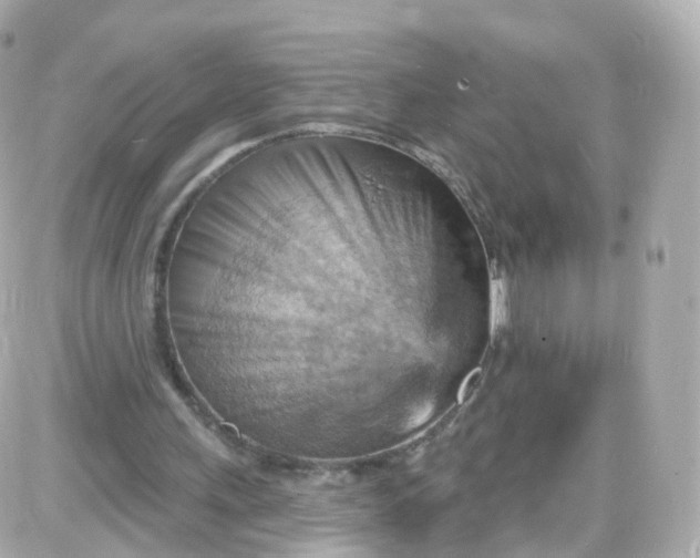 X0000087590243200705112310