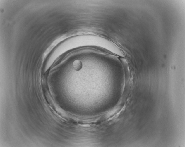 X0000087590244200705112310