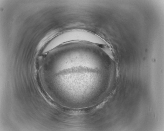 X0000087590245200705112310