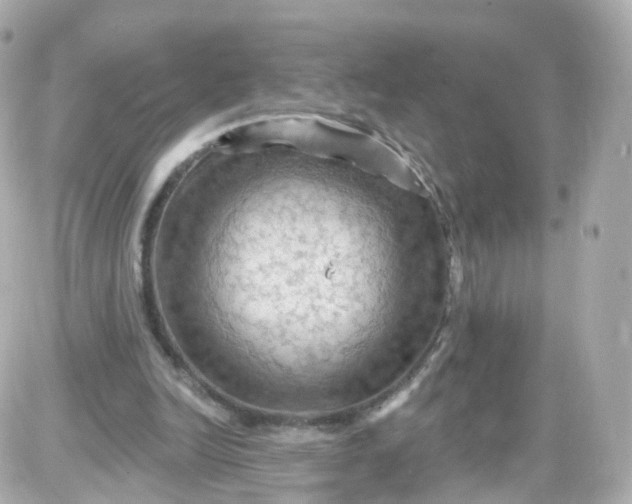 X0000087590246200705112310