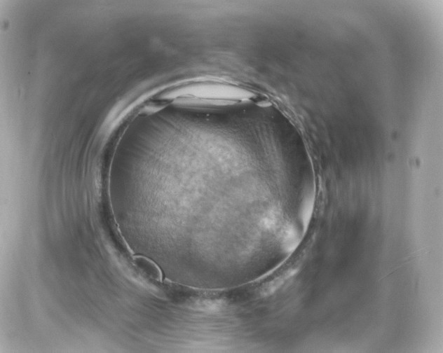 X0000087590247200705112310