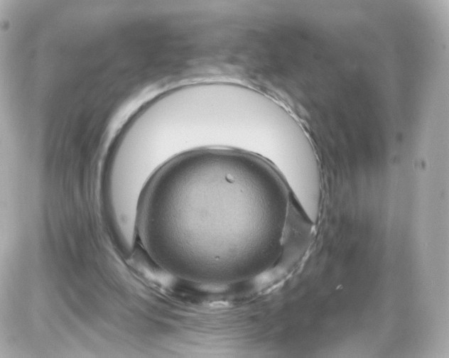 X0000087590248200705112310