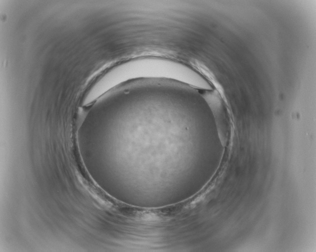 X0000087590249200705112310