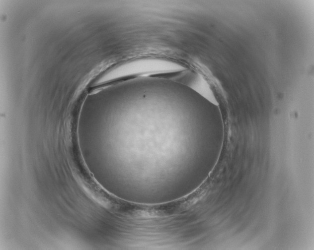 X0000087590250200705112310