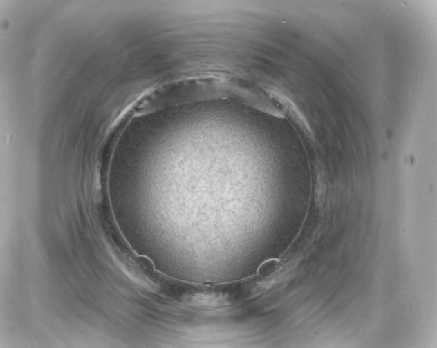 X0000087590251200705112310