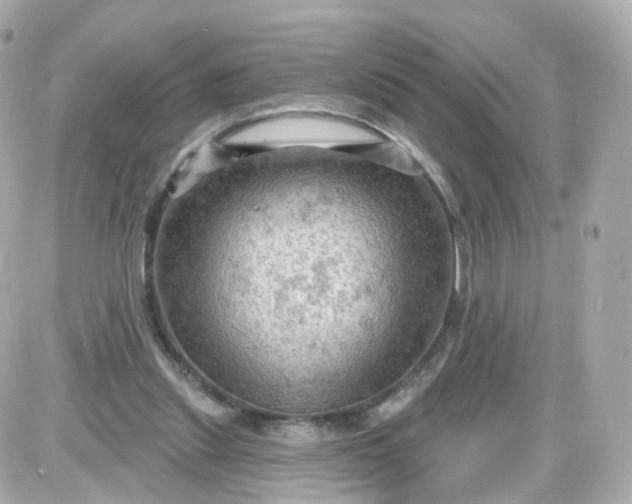 X0000087590253200705112310