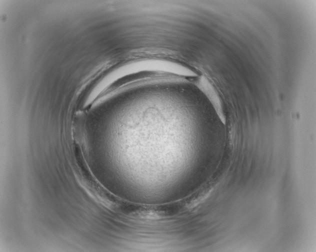 X0000087590254200705112310