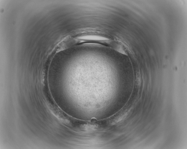 X0000087590255200705112310