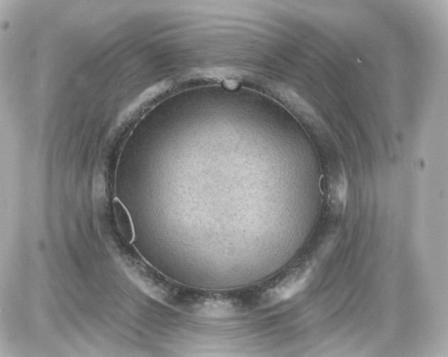 X0000087590256200705112310