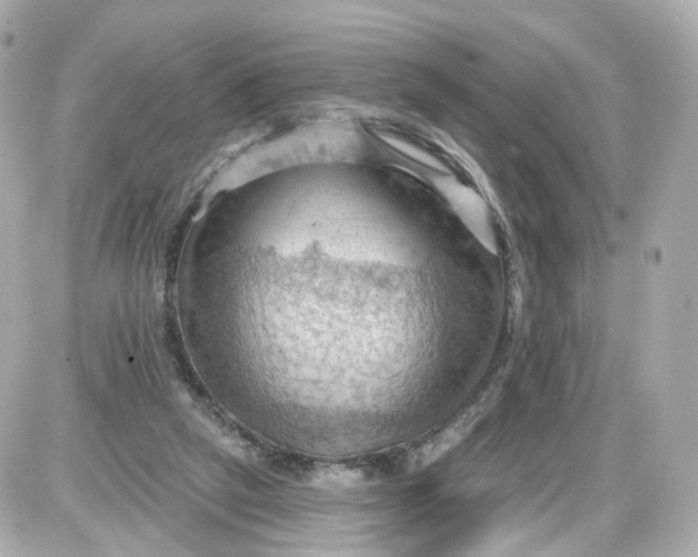 X0000087590257200705112310