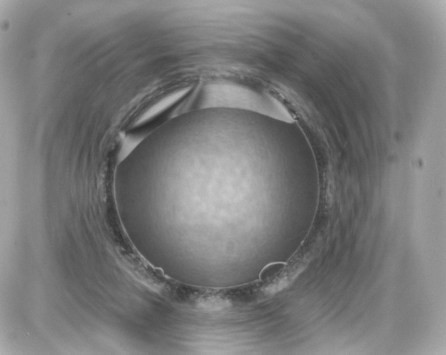 X0000087590258200705112310