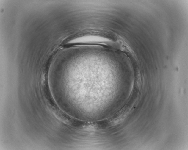 X0000087590259200705112310