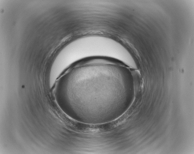 X0000087590260200705112310