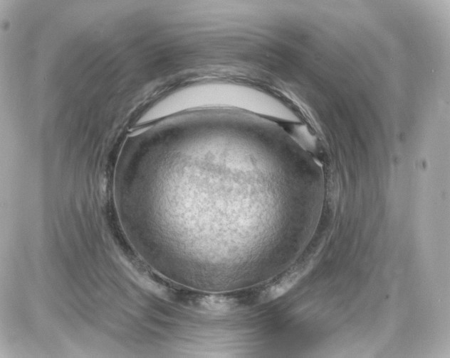 X0000087590261200705112310