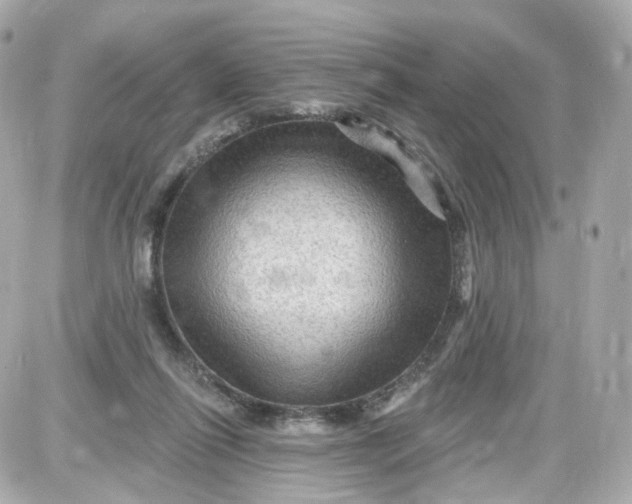 X0000087590262200705112310