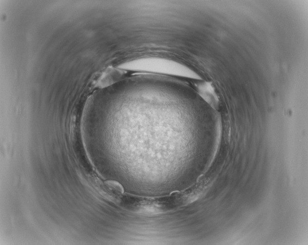 X0000087590263200705112310