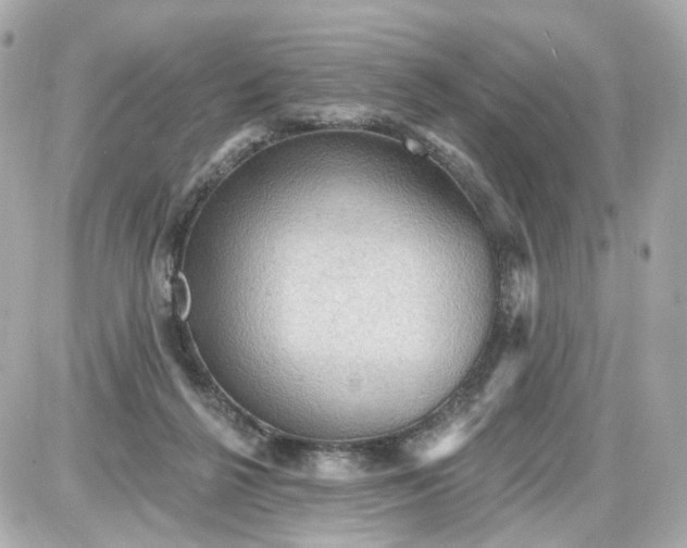 X0000087590264200705112310