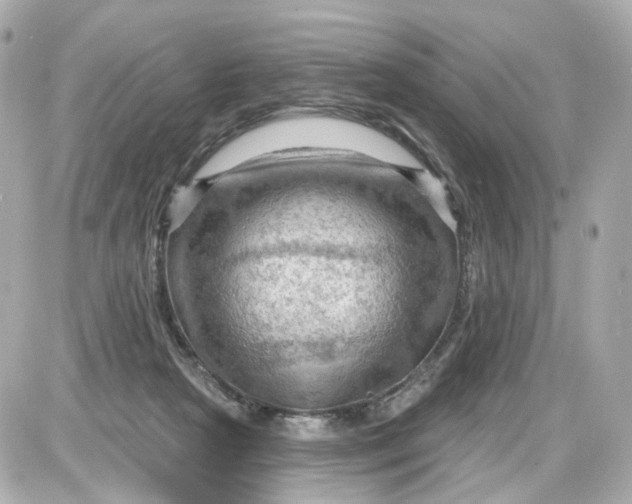 X0000087590265200705112310