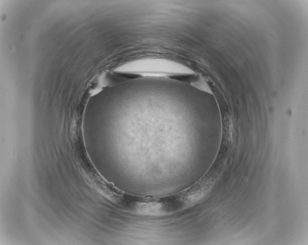 X0000087590266200705112310