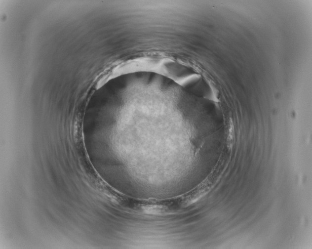 X0000087590268200705112310