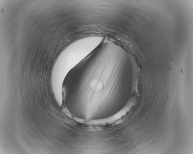 X0000087590270200705112310