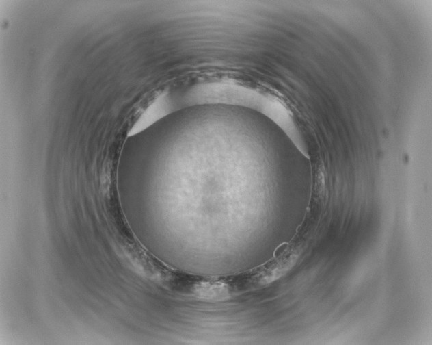 X0000087590271200705112311