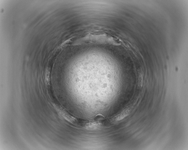 X0000087590274200705112311