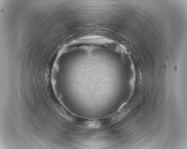 X0000087590275200705112311