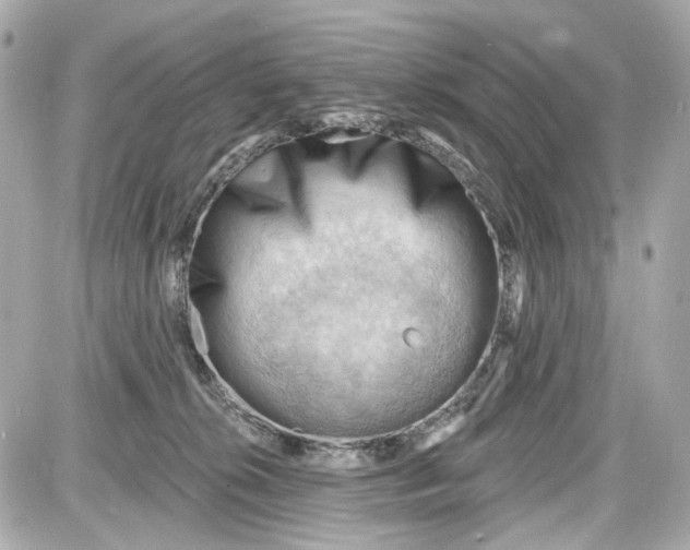 X0000087590276200705112311