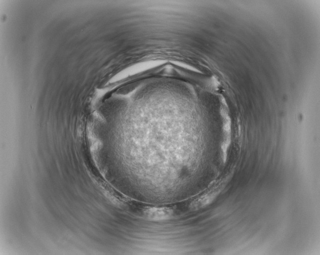 X0000087590277200705112311