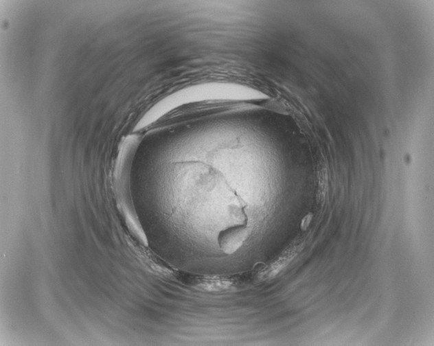 X0000087590278200705112311