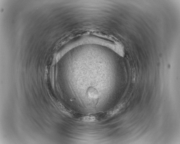 X0000087590279200705112311