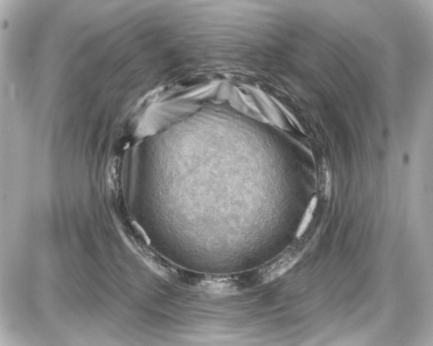 X0000087590280200705112311