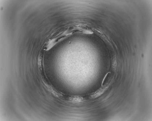 X0000087590282200705112311