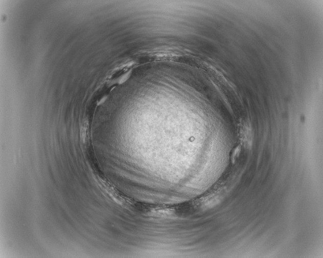 X0000087590283200705112311