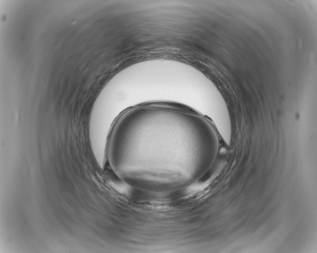 X0000087590284200705112311