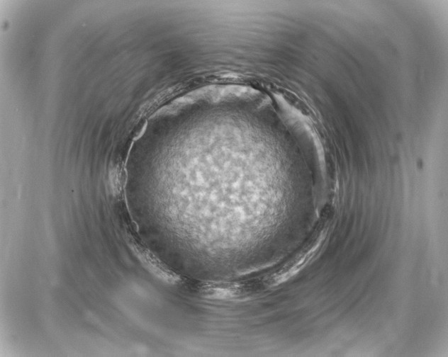 X0000087590285200705112311